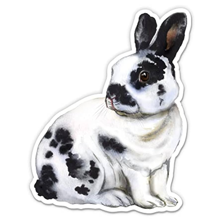 Rabbit Stickerᕱᘏ ゛専用 IMG_7402_1024x1024.png?v=